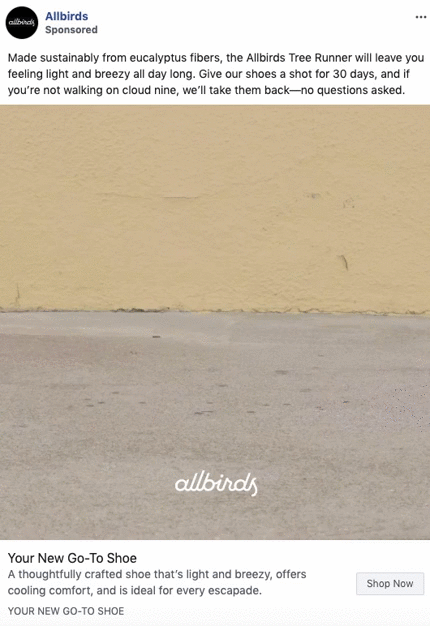 Allbirds ad featuring text about the Tree Runner shoe, a plain beige wall, and floor with the Allbirds logo and a “Shop Now” button at the bottom.