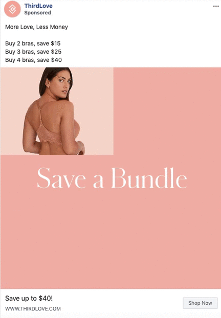 A woman models a mauve lace bra against a pink background with the text "Save a Bundle" and promotional savings details for purchasing multiple bras.