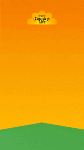 Illustration of toast popping up from green hills against a yellow-orange background, with the "Country Life" logo at the top.