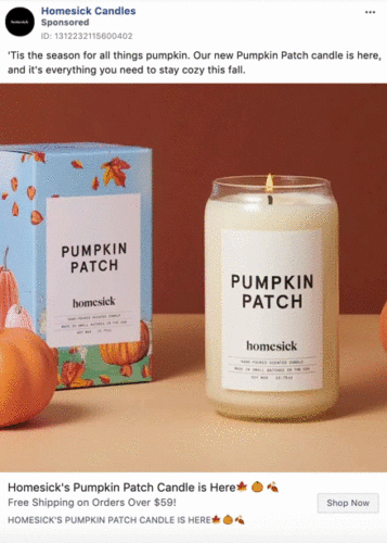 A Pumpkin Patch candle and its box are displayed on a brown surface with two small pumpkins nearby. The candle and box are labeled "Pumpkin Patch" by Homesick.