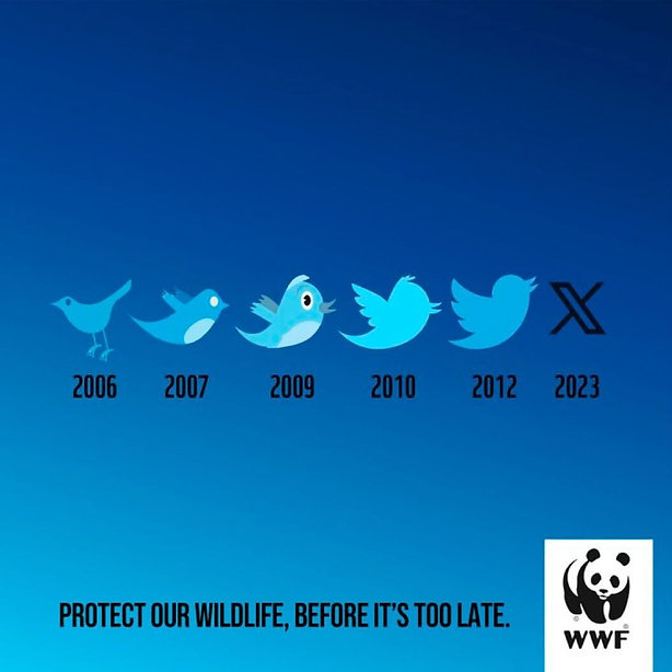 WWF graphic showing Twitter logo evolution from 2006 to 2023, ending with the X logo, with a message: "Protect our wildlife, before it's too late." WWF panda logo in corner.