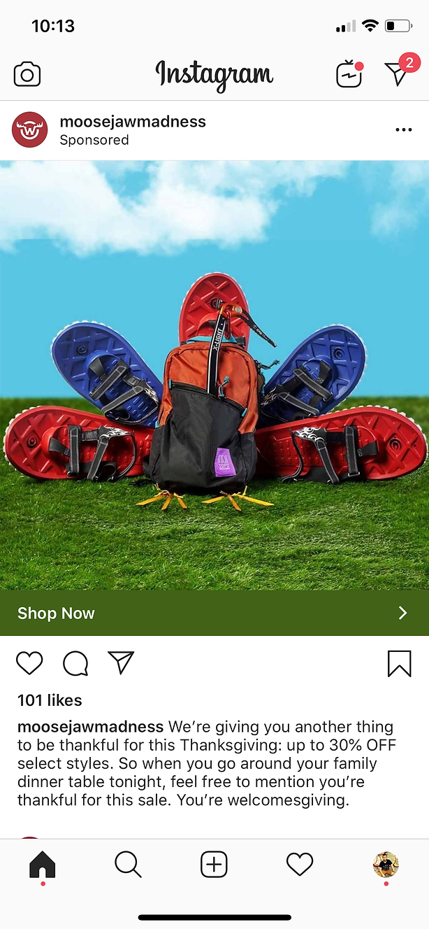 A backpack with six snowshoes arranged behind it to resemble a turkey sits on grass against a blue sky background.