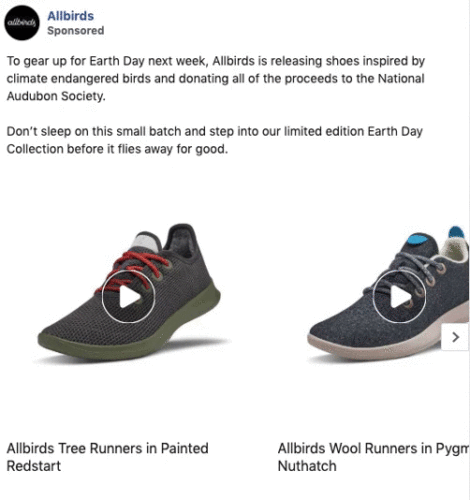 Two pairs of Allbirds sneakers are displayed: Tree Runners in green with red laces and Wool Runners in gray with blue laces. Both are part of a limited Earth Day collection.