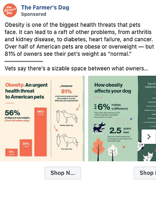Infographic about pet obesity, showing health risks, statistics on overweight pets, and the impact of excess weight on dogs’ lifespan.