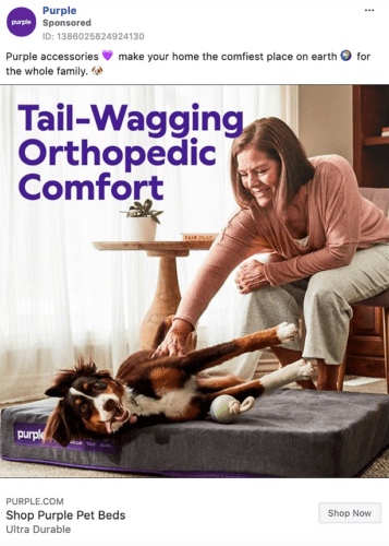 A woman pets a happy dog lying on a large orthopedic pet bed in a bright, homey living room. Text reads: "Tail-Wagging Orthopedic Comfort.