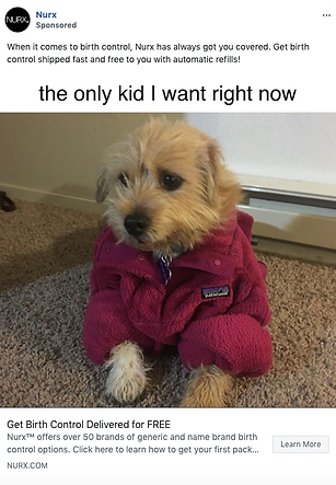 A small dog wearing a pink fleece jacket sits on a carpet, featured in a birth control ad with the text: "the only kid I want right now.