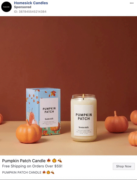 A Homesick Pumpkin Patch candle in a glass jar is displayed next to its box, surrounded by small pumpkins on a beige surface with a brown background.