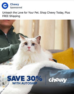 A person sits on a couch with a fluffy white and gray cat on their lap. Text promotes 30% savings with autoship and free shipping from Chewy.