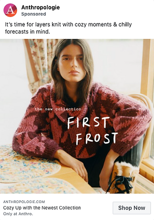 A woman wearing a chunky knit sweater sits at a table indoors. Text on image reads “the new collection FIRST FROST.”.