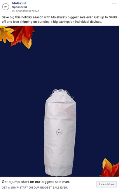 A Molekule air purifier in a white cover is centered on a dark blue background with autumn leaves in the corners and promotional text above and below.