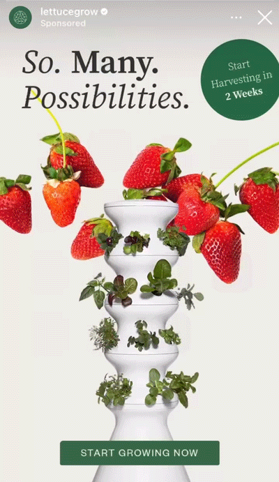 A white vertical hydroponic planter holds various leafy greens and is surrounded by strawberries. Text promotes quick harvesting and encourages starting to grow now.