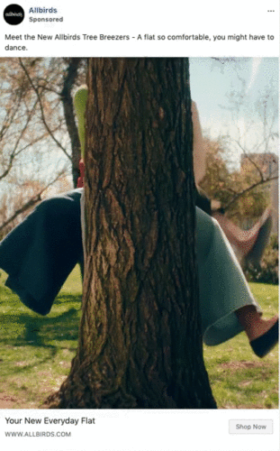 Two people sit on opposite sides of a tree in a park, with their legs playfully kicking out to the sides. The scene is bright and outdoorsy.