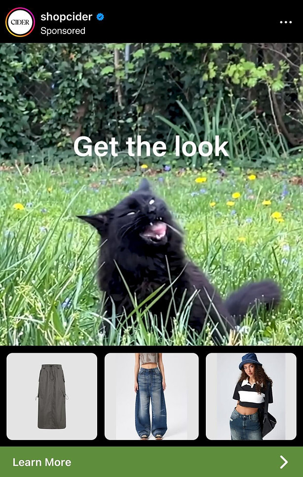 A black cat sits in grass with its mouth open, surrounded by greenery. "Get the look" text appears above, with three clothing items displayed below.