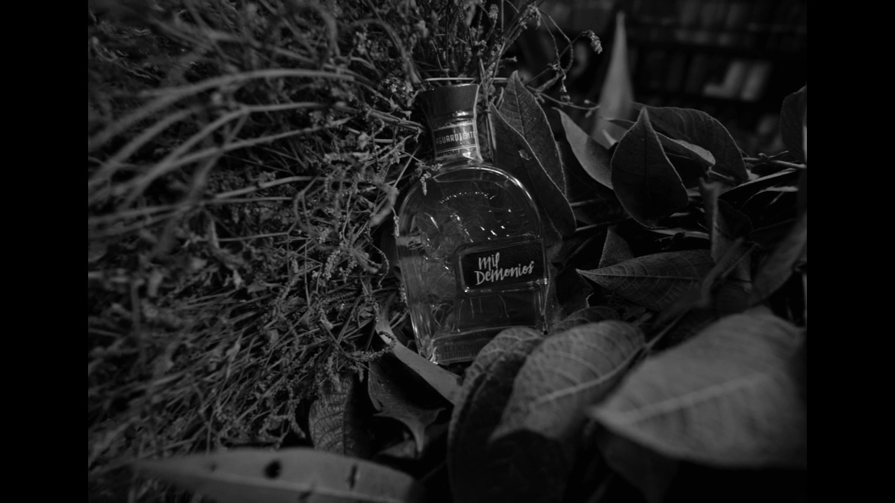 A glass bottle labeled “Will Defenninger” is nestled among dense foliage and plants in a black and white photograph.